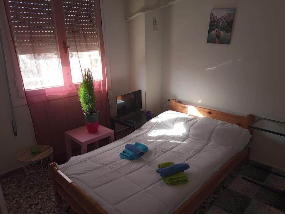 Useful Flat In Centre * Héraklion